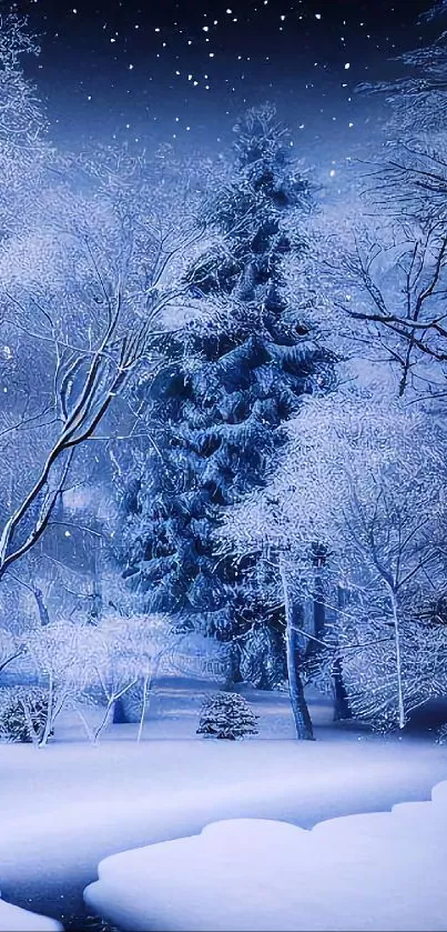 Enchanting winter landscape with snow-covered trees and starry night sky.