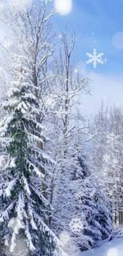 Snowy forest with frosty trees and a blue sky, creating a peaceful winter scene.