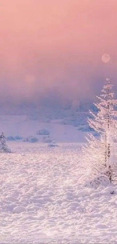 Snow-covered field with trees under pink sky.