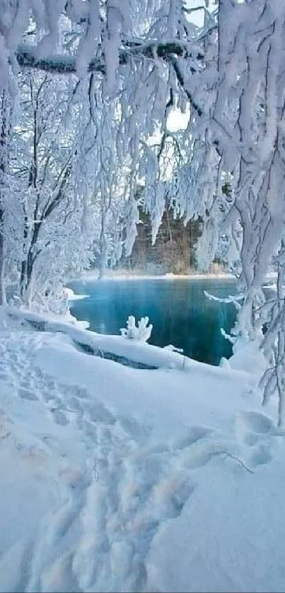 Snow-covered trees by a tranquil winter river.