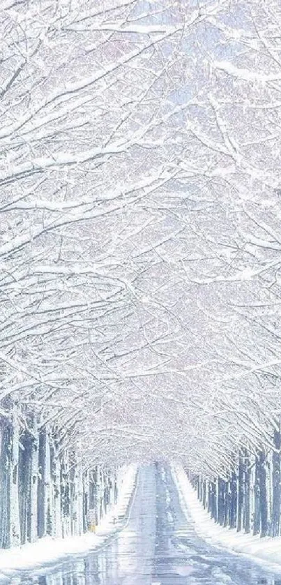 Snow-covered road with frosty trees in winter landscape.