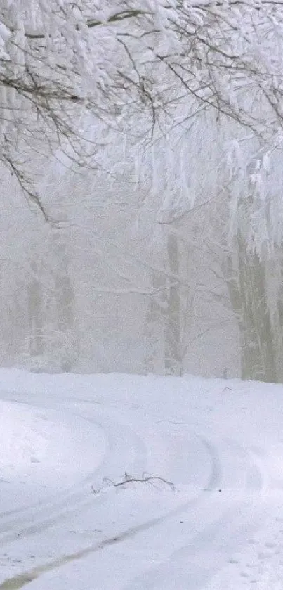 Snow-covered road through a winter forest.