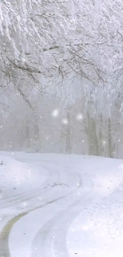 Snow-covered road in a frosty winter forest wallpaper.