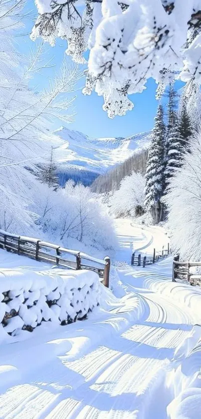 Snow-covered winter landscape with trees and mountains.