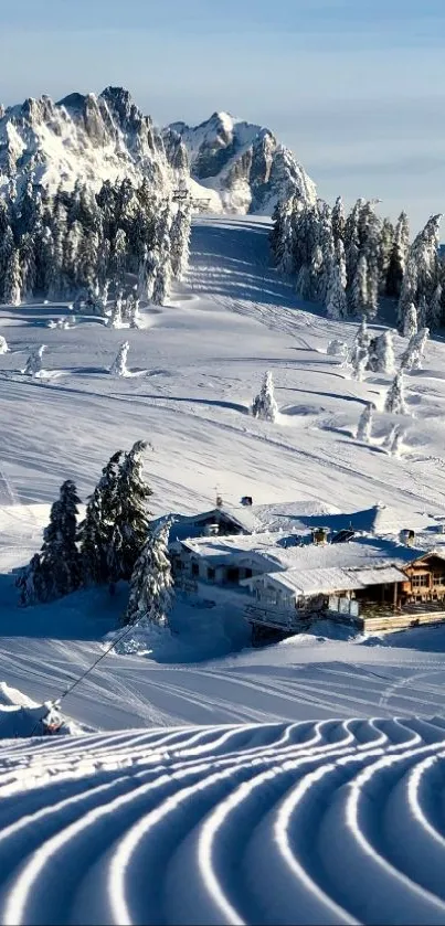 Snow-covered SkiWelt ski resort in winter, featuring scenic mountain views.