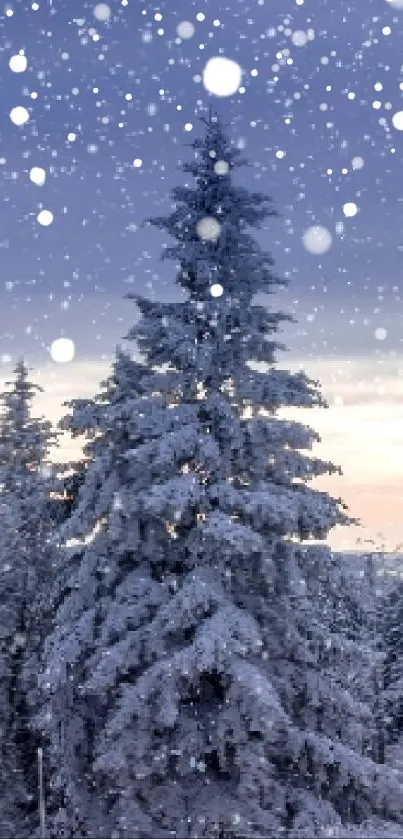 Snowy trees under a winter sky in serene landscape.