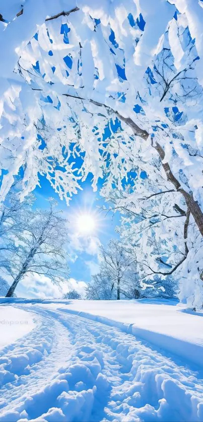 Winter landscape with snow-covered trees under a bright sun.