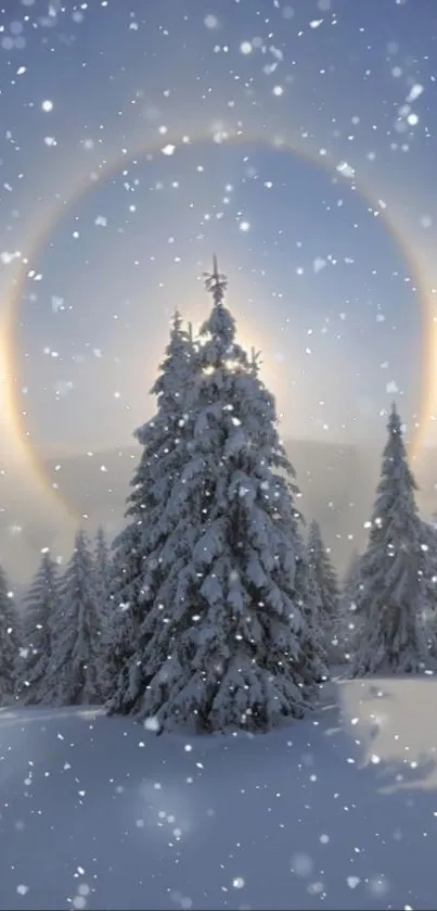 Snowy winter forest with a halo effect and falling snowflakes.