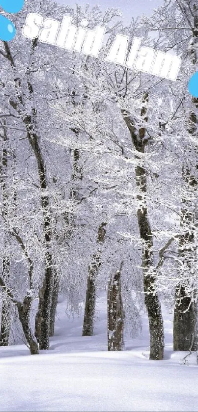 Snow-covered forest with frosty trees and a winter wonderland setting.