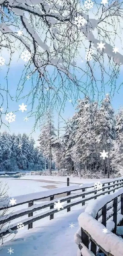 Snowy winter landscape with trees and a path.