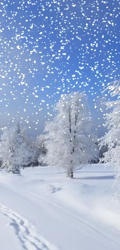 Stunning snow-covered trees under clear blue sky.