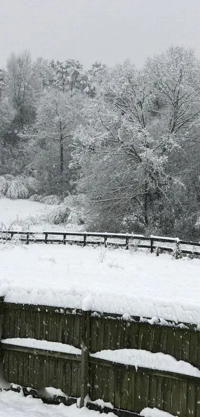 Snow-covered landscape with frosted trees and wooden fence.