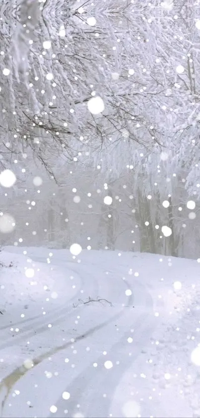 Snowy road in a serene winter forest with falling snowflakes.