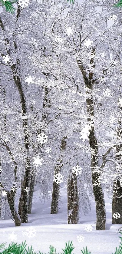 Snow-covered trees with falling snowflakes in a serene winter landscape.