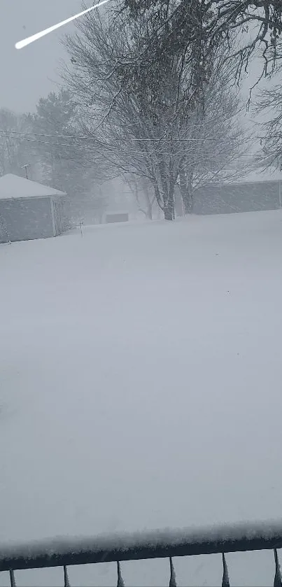 Snowy landscape with trees and houses in winter.