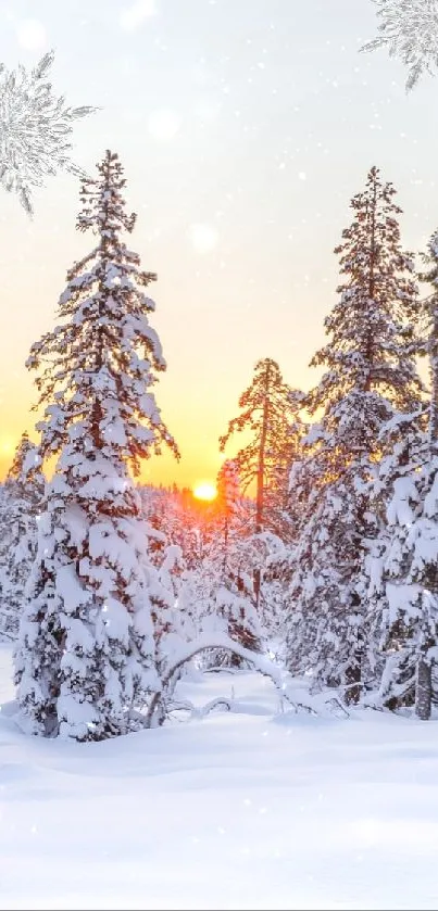 Snow-covered forest at sunrise with a golden sky.