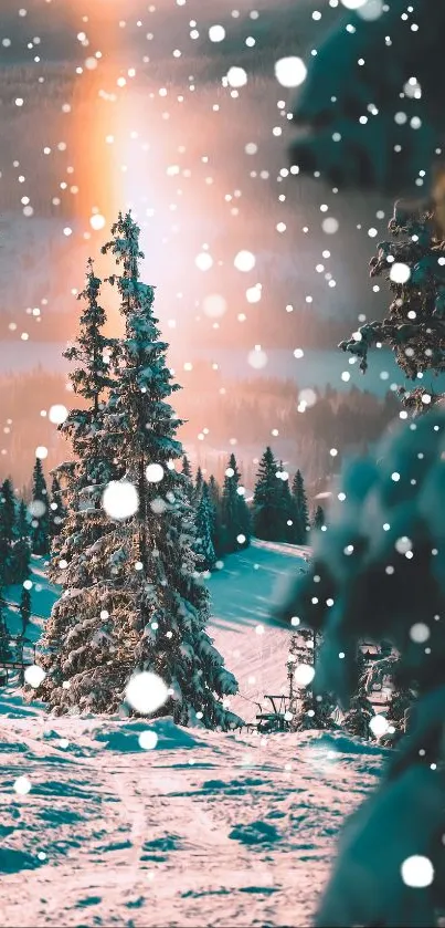 Snowy landscape with a warm morning sunrise.