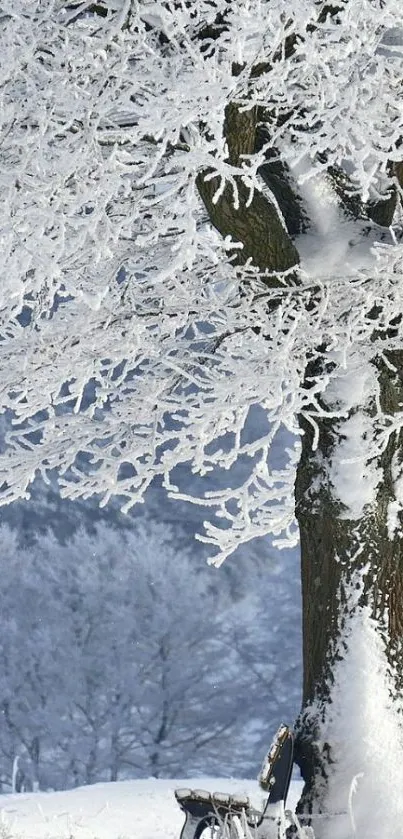 Snow-covered tree and bench in winter landscape.