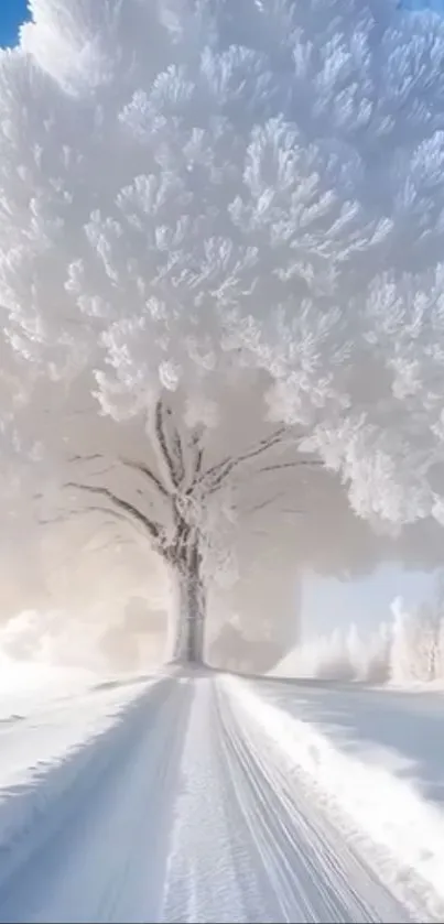 Snow-covered tree in a winter landscape with a serene path.