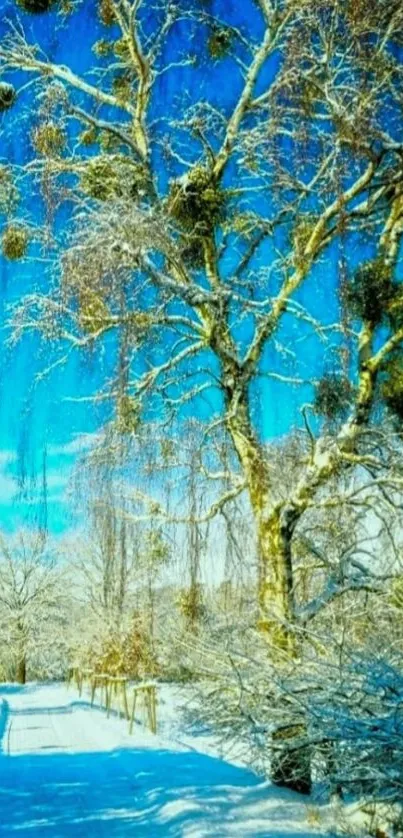 Snowy landscape with a tree and blue sky, perfect for winter wallpaper.