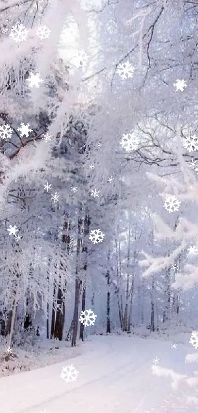 Snowy winter forest wallpaper with snow-laden trees.