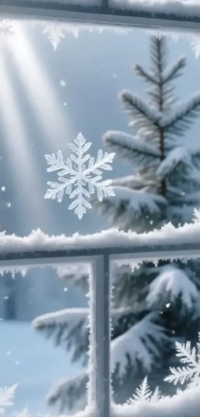 Snowy pine tree through frosted window.