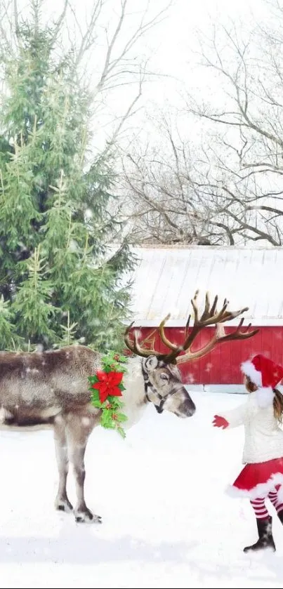 Reindeer interaction in snowy winter landscape with festive scenery.