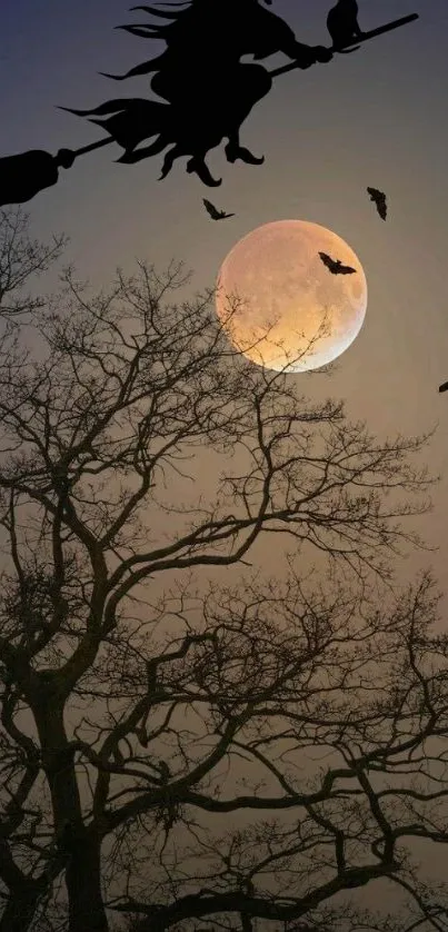 Silhouette of witch flying against full moon over a dark tree and night sky.