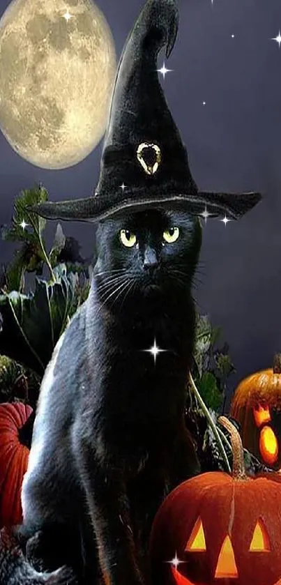 Black cat in witch hat with pumpkins and full moon, perfect Halloween vibe.