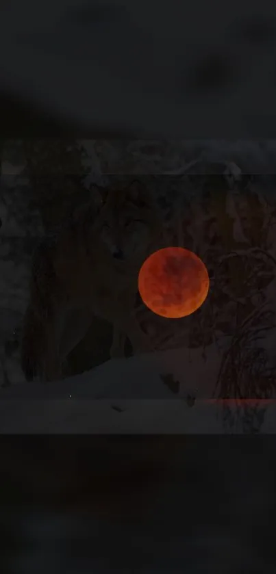 Wolf in snowy forest with red moon glowing in the night.