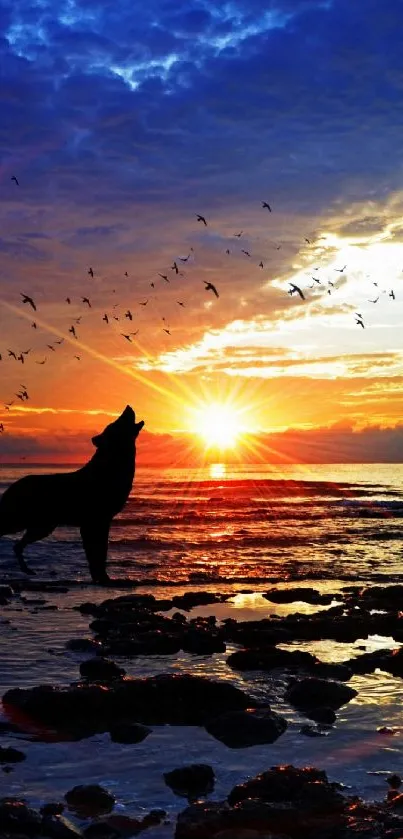 Silhouette of a wolf howling at sunset by the beach with birds in the sky.