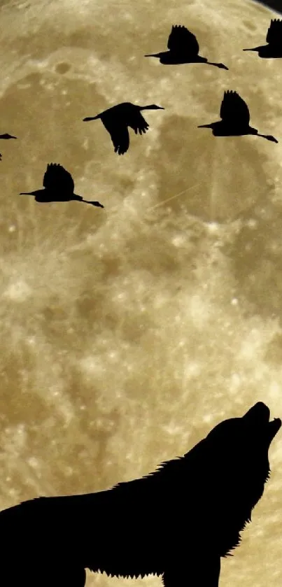 Wolf silhouetted against full moon with flying birds.