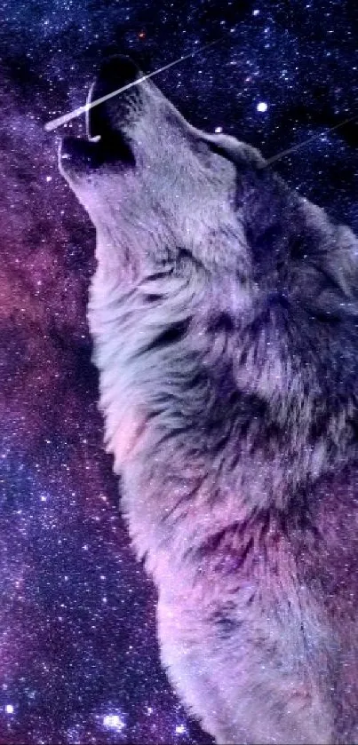 Wolf howling at a vibrant galaxy-filled night sky.