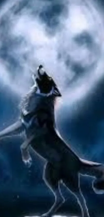 Wolf howling at the bright moon with dark blue night background.