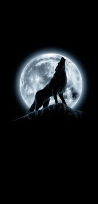 Wolf howling at the moon on dark background wallpaper.