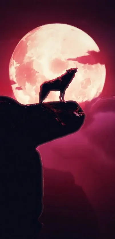 Wolf silhouette against a vivid pink moon and dark night sky.