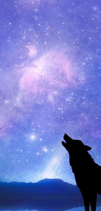 Wolf silhouette against a purple galaxy sky.