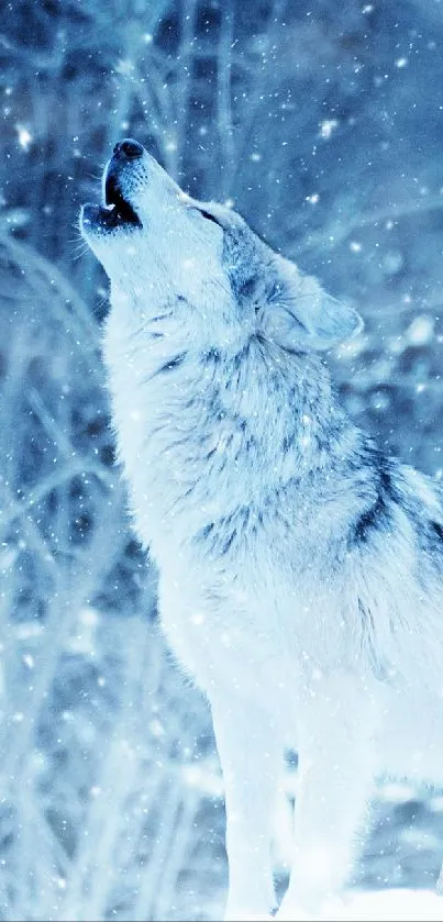 Wolf howling in snowy blue forest wallpaper.