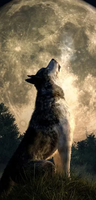 Wolf howling at the moon under a night sky background.