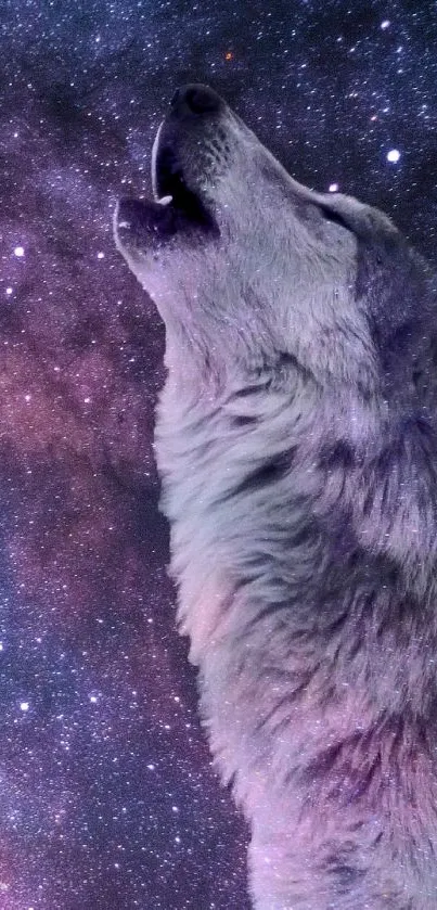 Wolf howling at starry night sky, cosmic background.