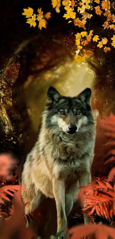 Wolf in an enchanting autumn forest with vibrant leaves.