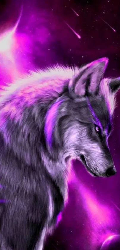 Purple galaxy wallpaper with a majestic wolf.