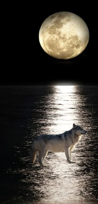 A wolf stands under a full moon, reflecting on a dark and tranquil sea.