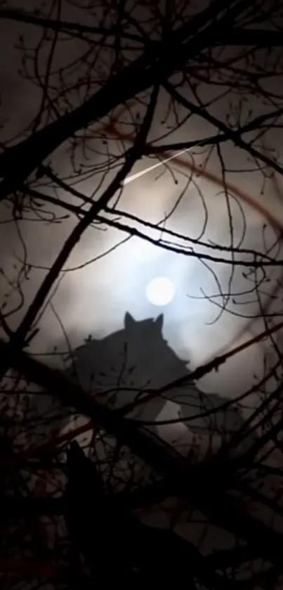 Silhouette of a wolf under a full moon through branches.