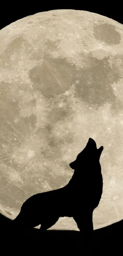 Silhouette of a wolf howling in front of a full moon.