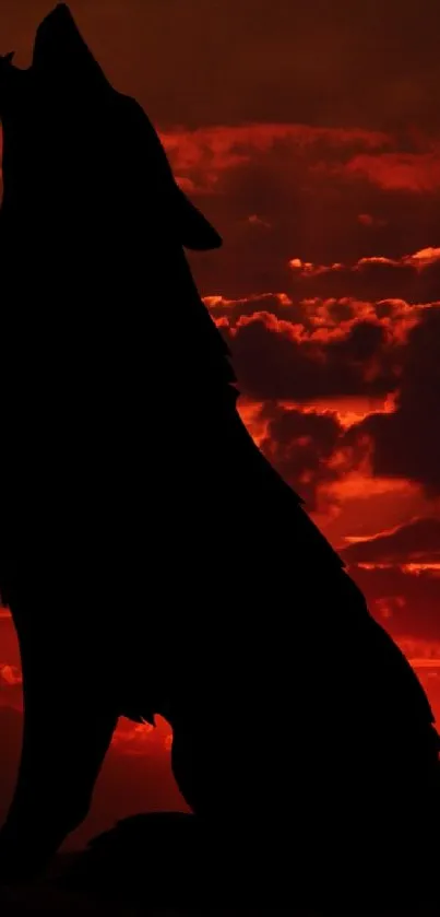 Silhouette of a wolf against a vibrant red sunset sky.