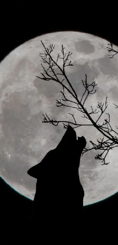 Wolf silhouette howling under a full moon in the night.