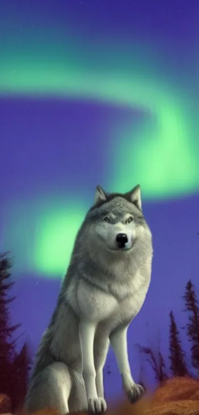 Majestic wolf under Northern Lights with forest silhouette.