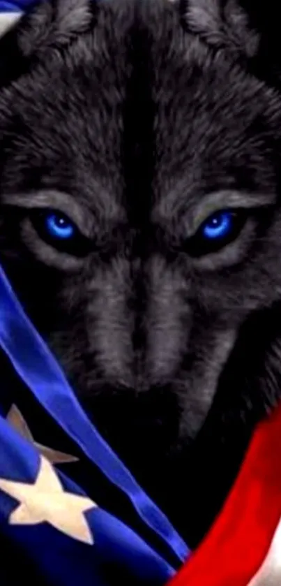 Wolf with blue eyes wrapped in the American flag.