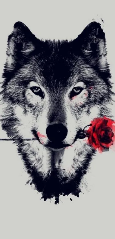 Grayscale wolf holding a red rose in its mouth on a mobile wallpaper.